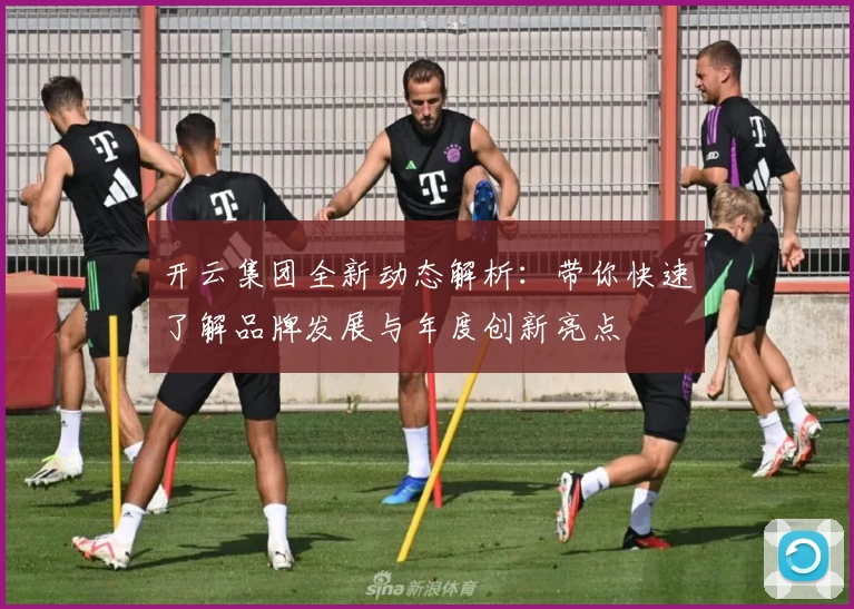 开云集团全新动态解析：带你快速了解品牌发展与年度创新亮点