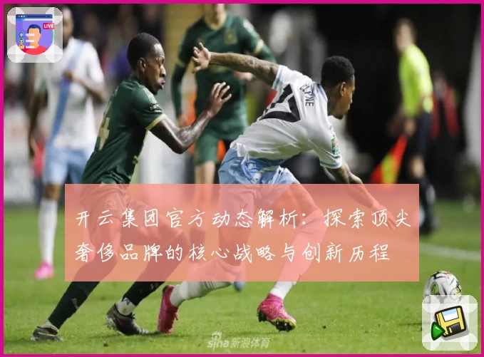 开云集团官方动态解析：探索顶尖奢侈品牌的核心战略与创新历程