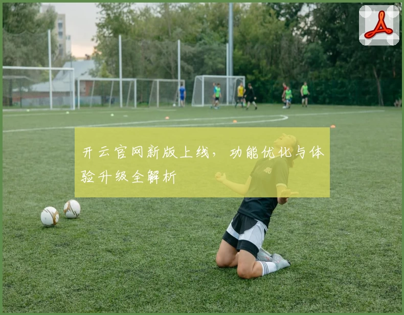 开云官网新版上线，功能优化与体验升级全解析